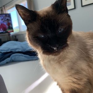 Meet your Posher, Denise